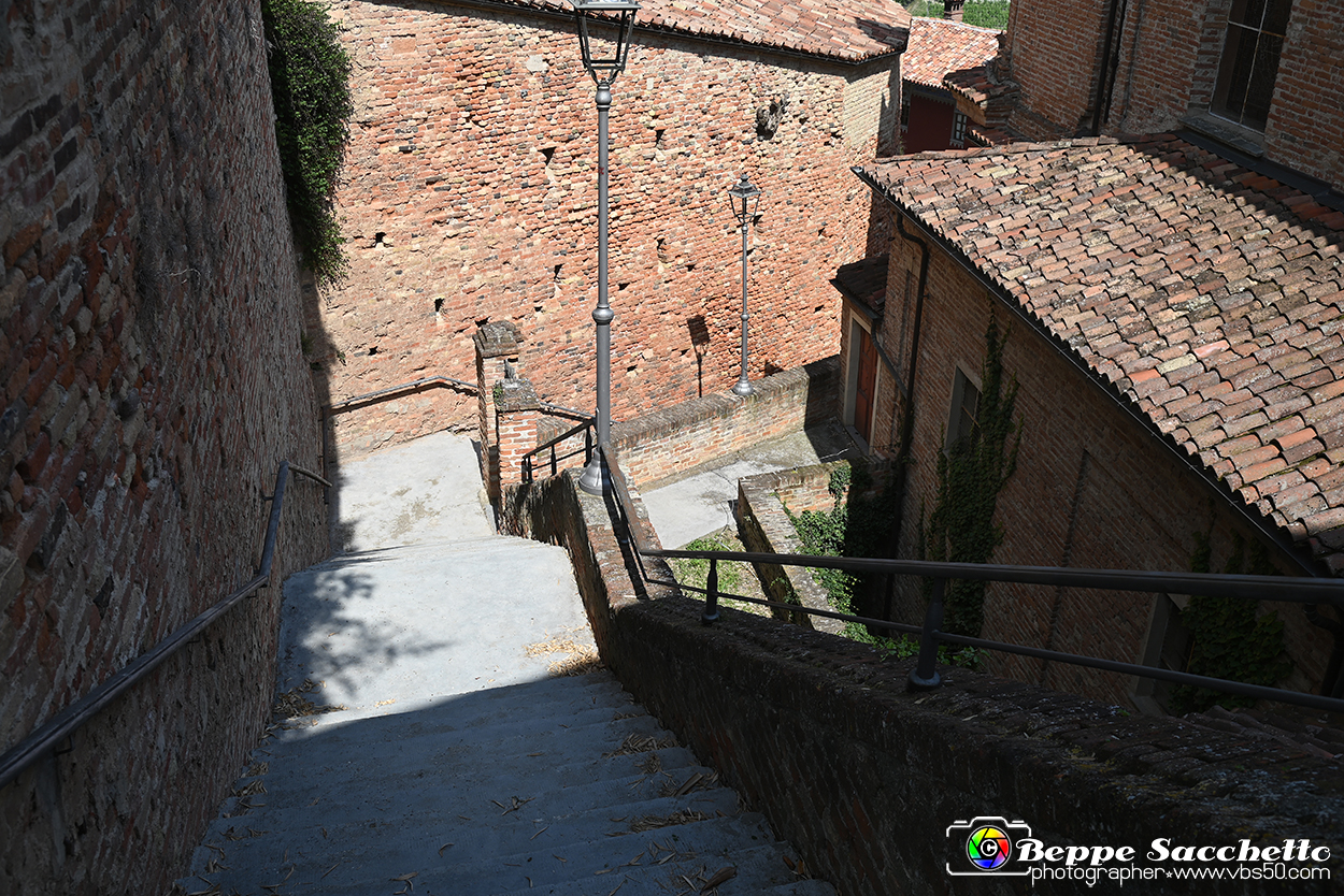 VBS_4491 - Castellinaldo d'Alba.jpg